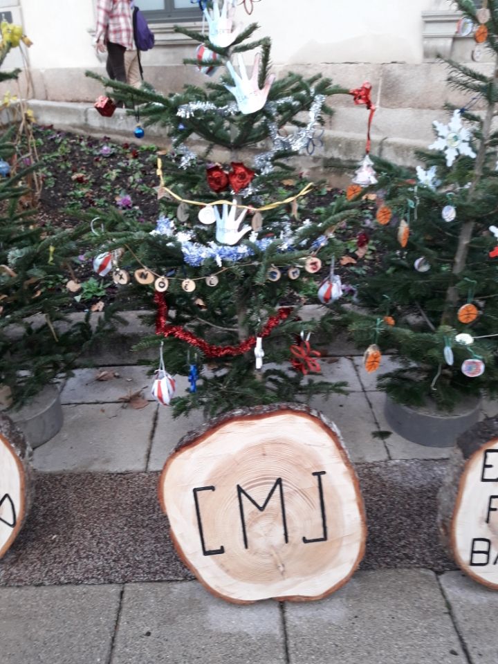 L'arbre de Noël du CMJ pour le concours de sapin