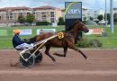 Hippodrome de Feurs